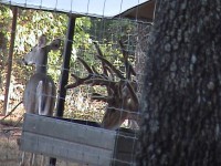 /album/photo-gallery-/dsc04355-2-jpg2/